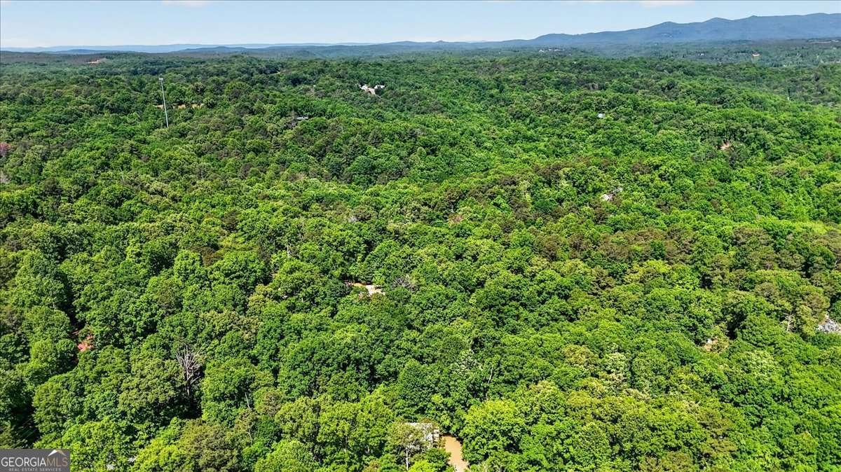 61 Gemini Court Ellijay - Photo 33