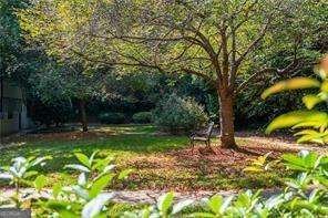 6940 Roswell Road Atlanta - Photo 29