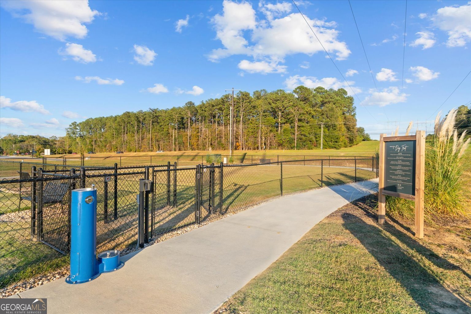 383 Pacer Lane Dalton - Photo 42