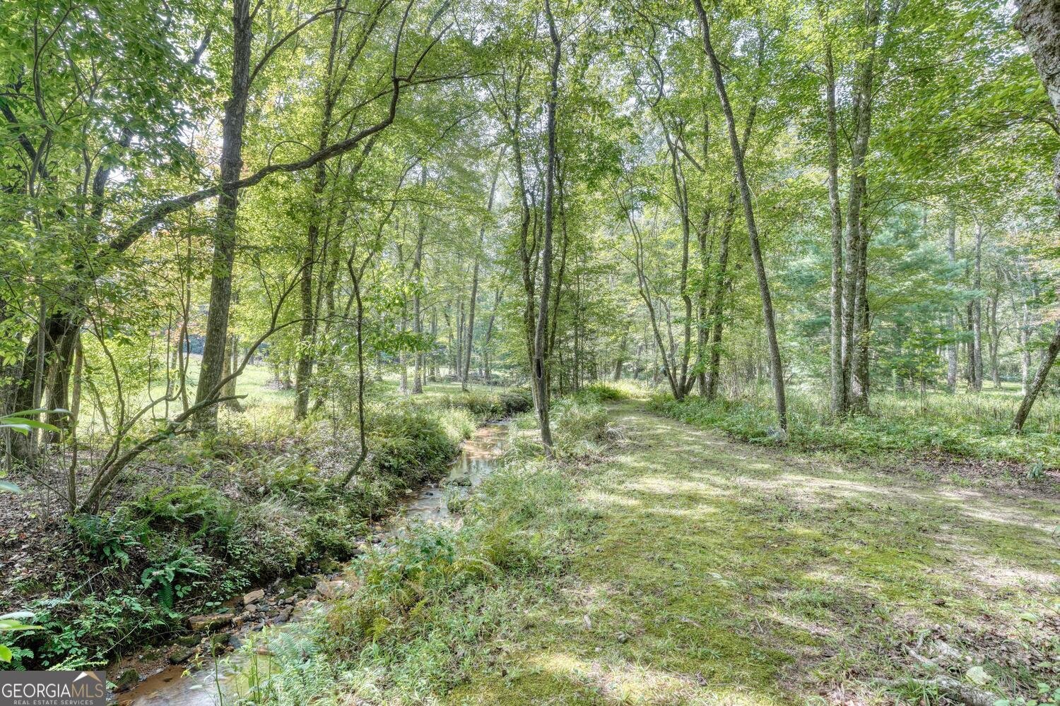 136 Honeybell Lane Blairsville - Photo 81