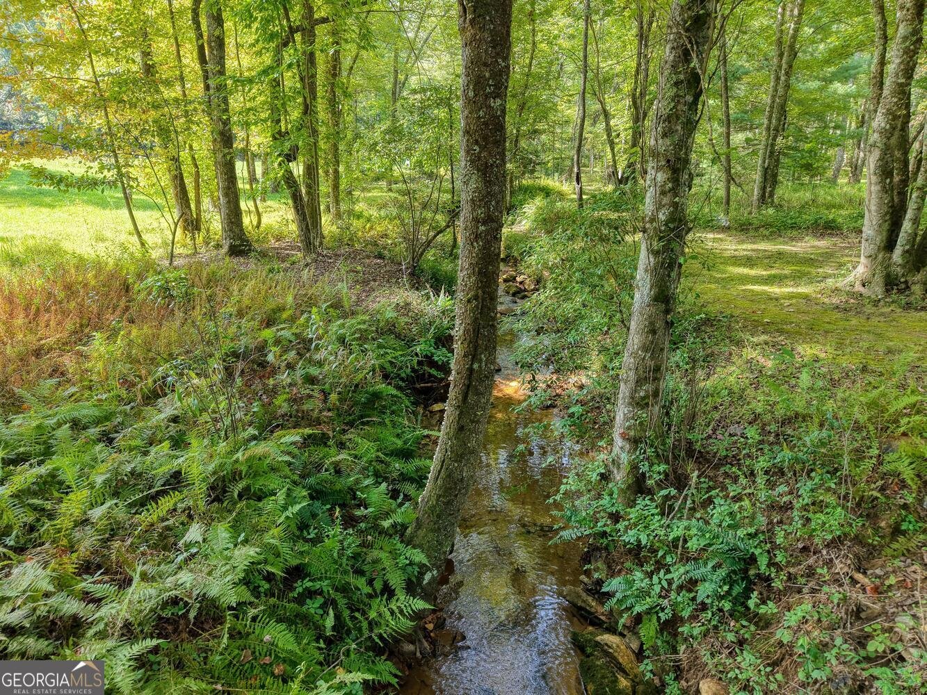 136 Honeybell Lane Blairsville - Photo 82