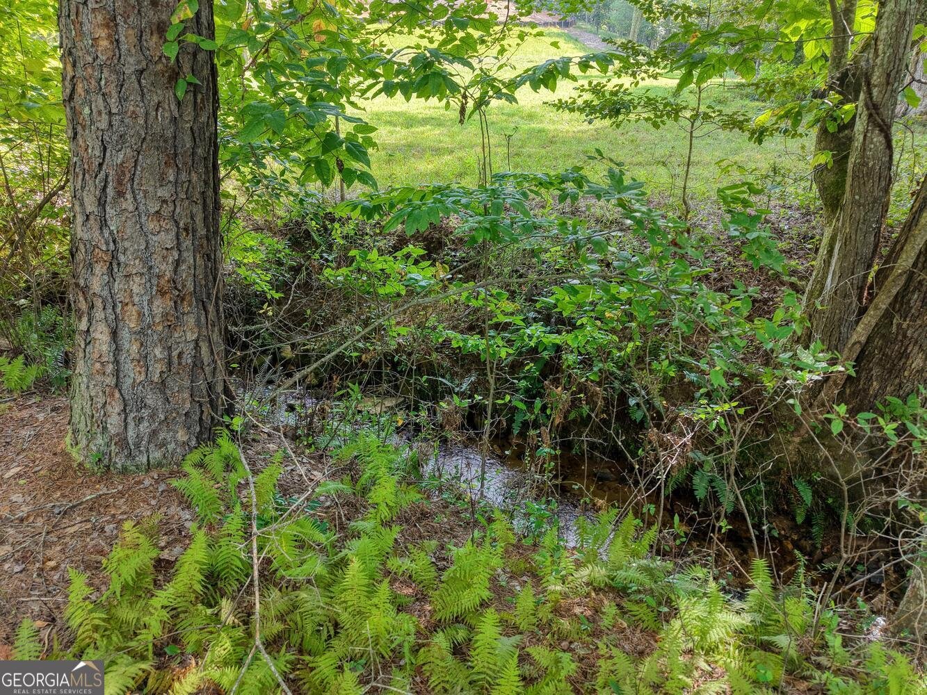 136 Honeybell Lane Blairsville - Photo 86