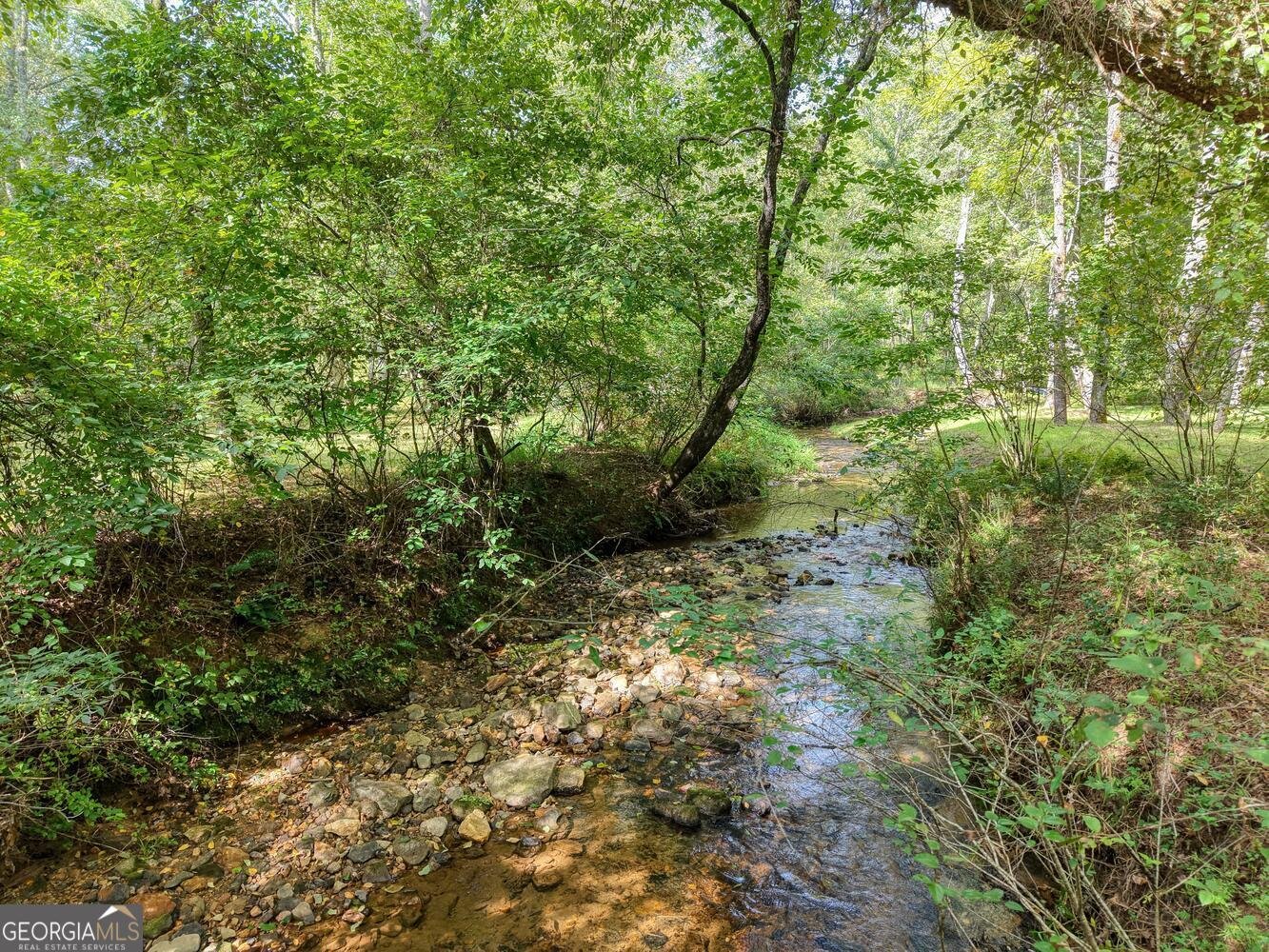 136 Honeybell Lane Blairsville - Photo 90