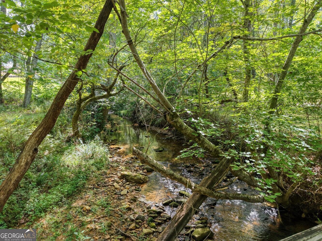 136 Honeybell Lane Blairsville - Photo 91