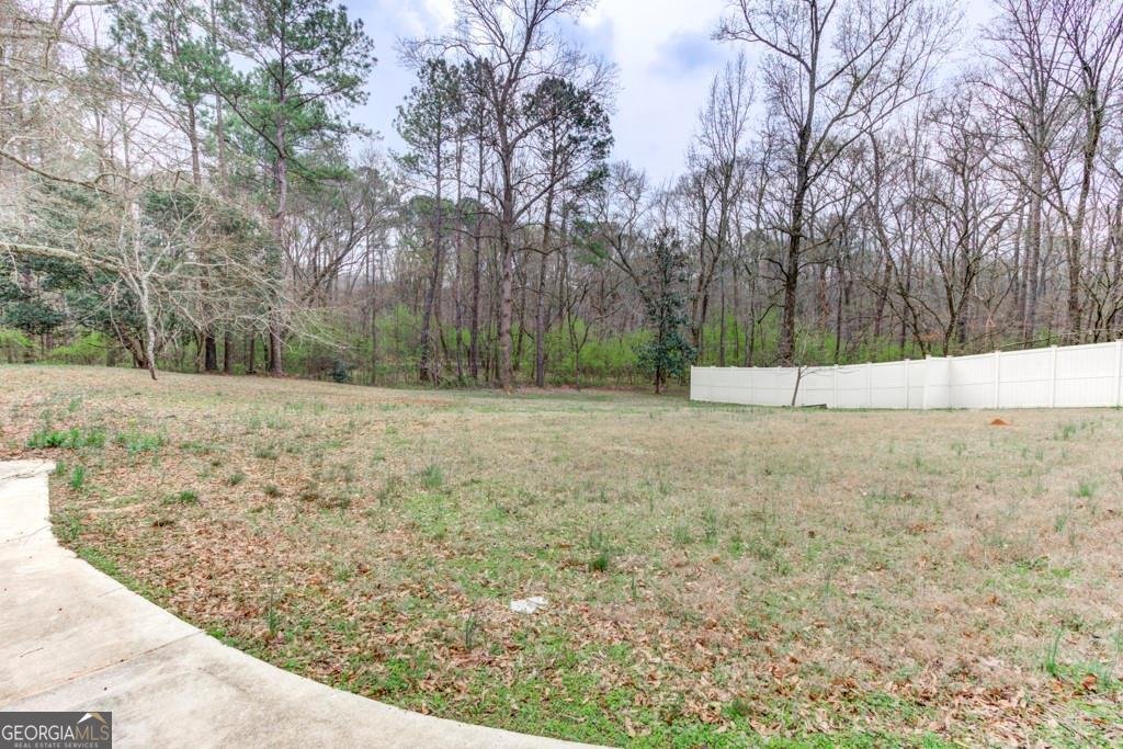 4385 Miners Creek Road Lithonia - Photo 41