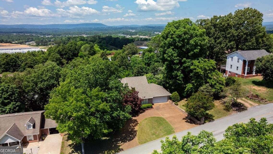 175 Highland Drive Ringgold - Photo 41