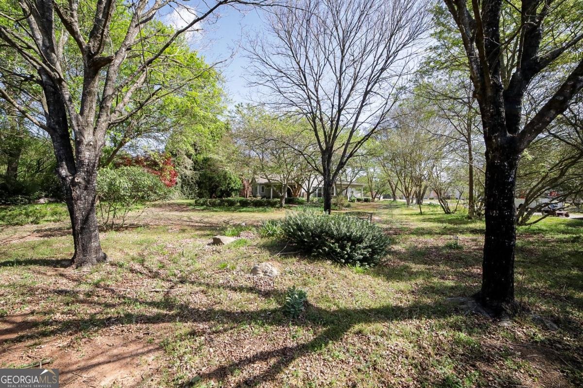 101 Stillwater Court Winterville - Photo 44