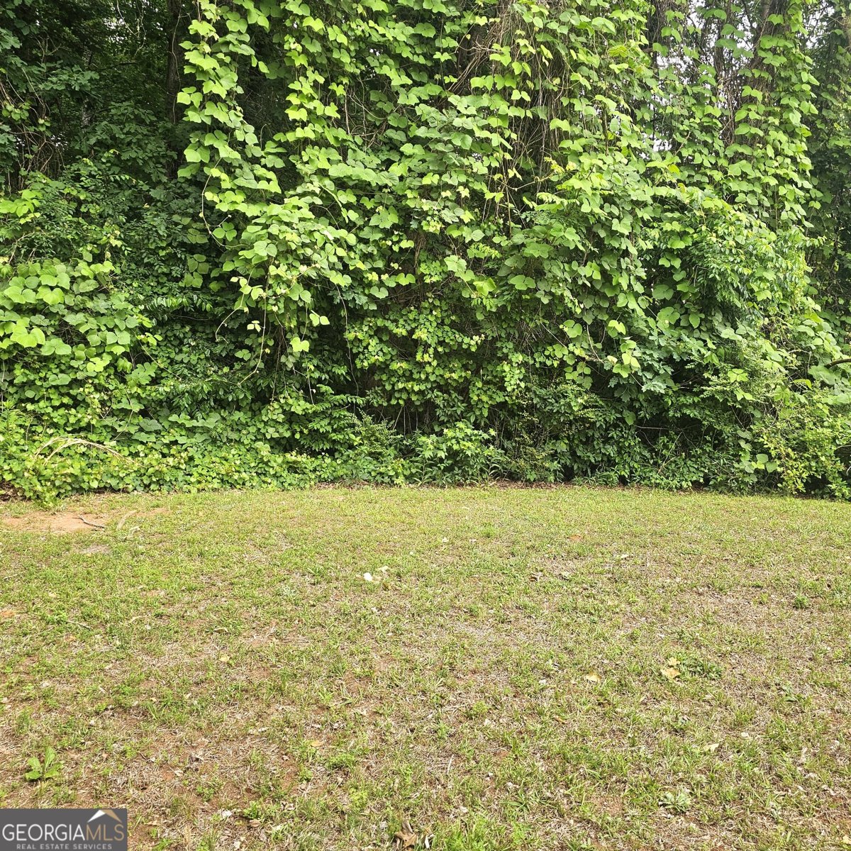 6278 Waverly Lane Fairburn - Photo 12