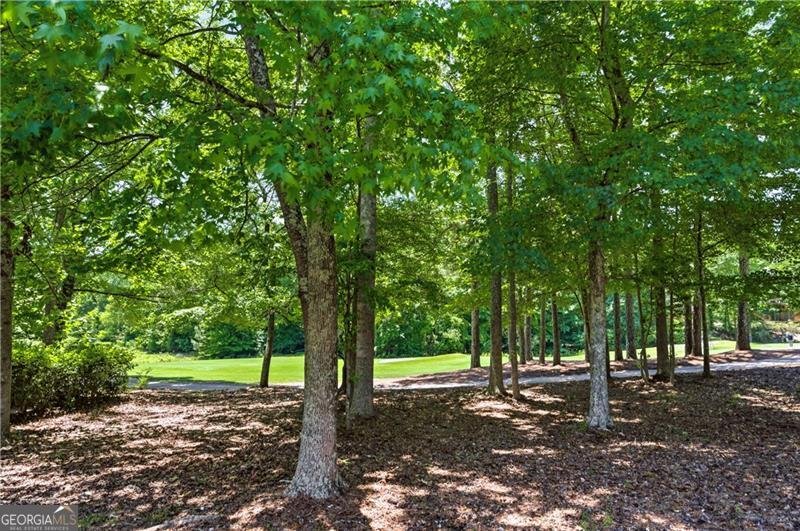 8001 Allerton Lane Cumming - Photo 39