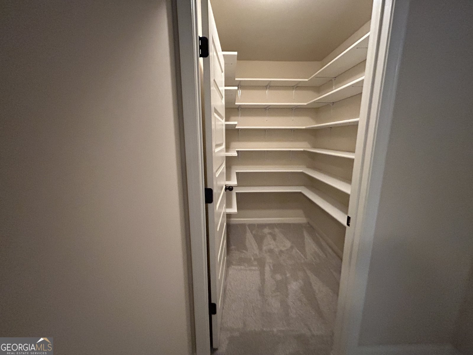 870 Clifton Springs Close Drive Atlanta - Photo 10
