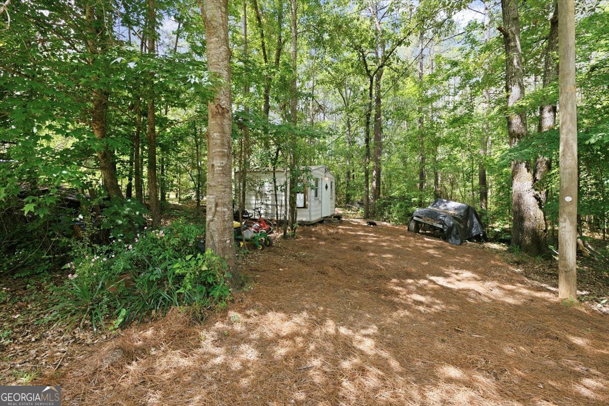 1608 Rumble Road Forsyth - Photo 39