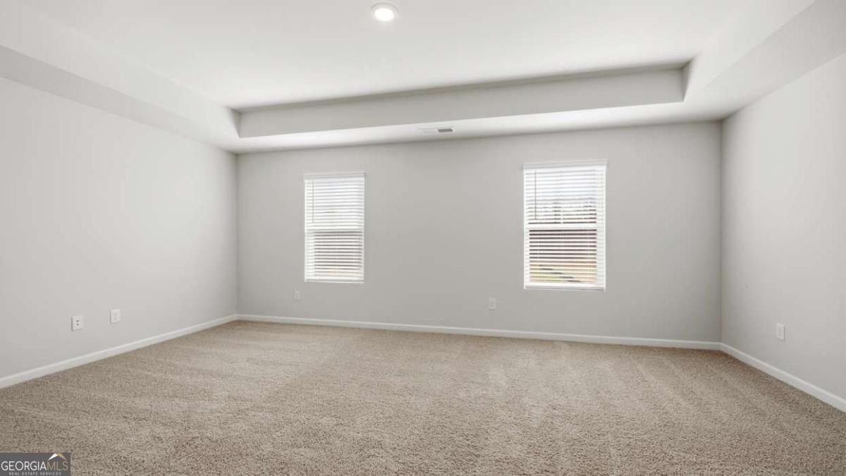 105 White Spruce Way Newnan - Photo 20