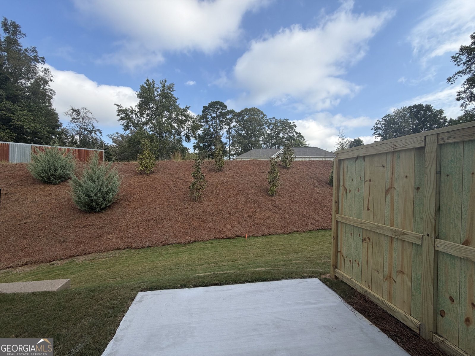 14 Trace Bluff Dawsonville - Photo 13