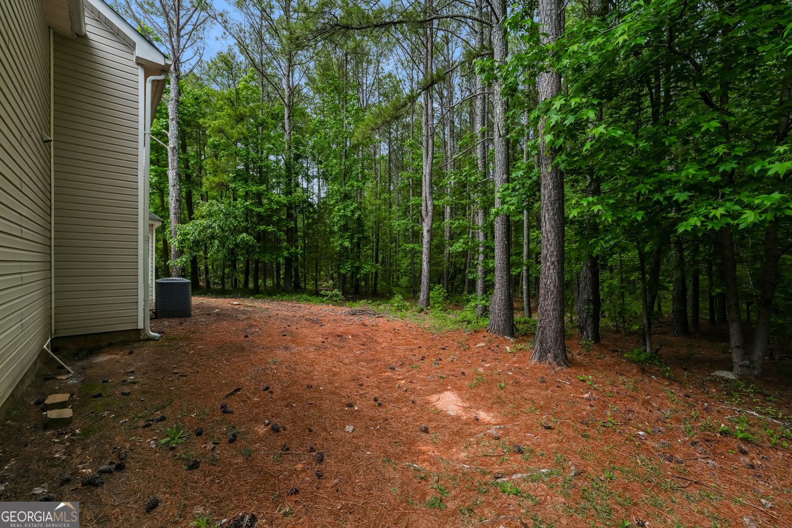 3211 Eternity Way Snellville - Photo 19