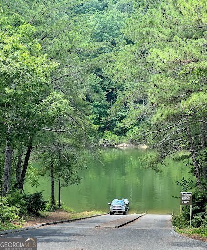 819 Hap Holt Road Ellijay - Photo 109