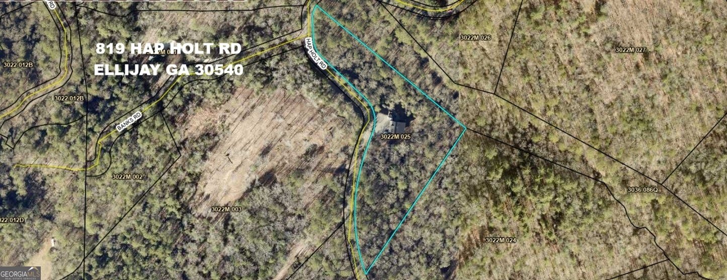 819 Hap Holt Road Ellijay - Photo 112