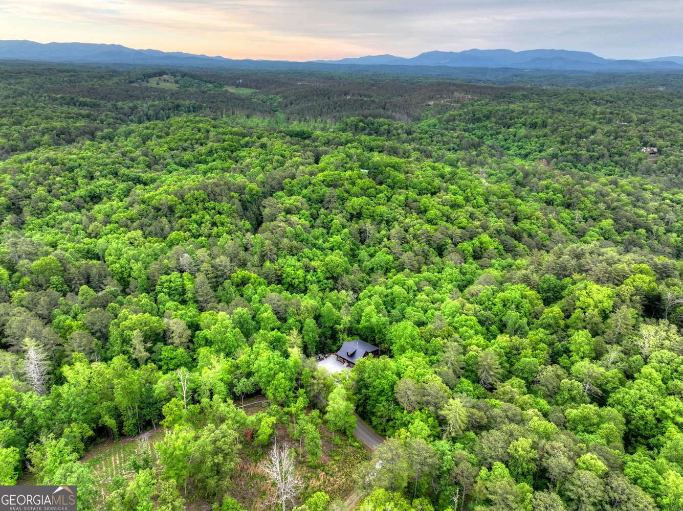 819 Hap Holt Road Ellijay - Photo 78
