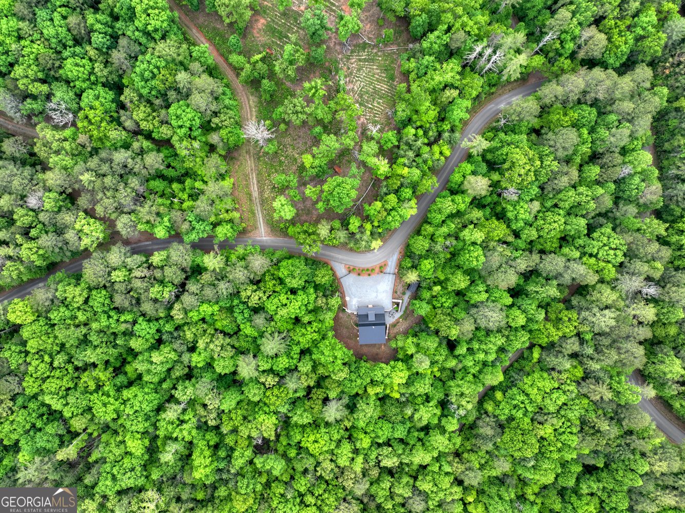 819 Hap Holt Road Ellijay - Photo 83
