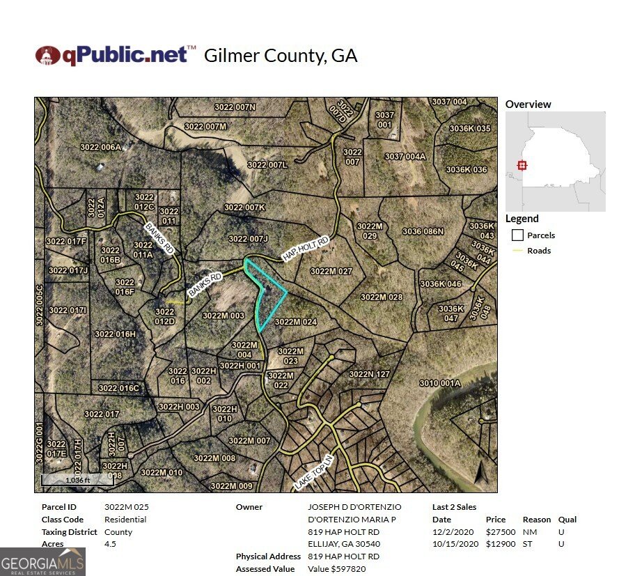 819 Hap Holt Road Ellijay - Photo 93