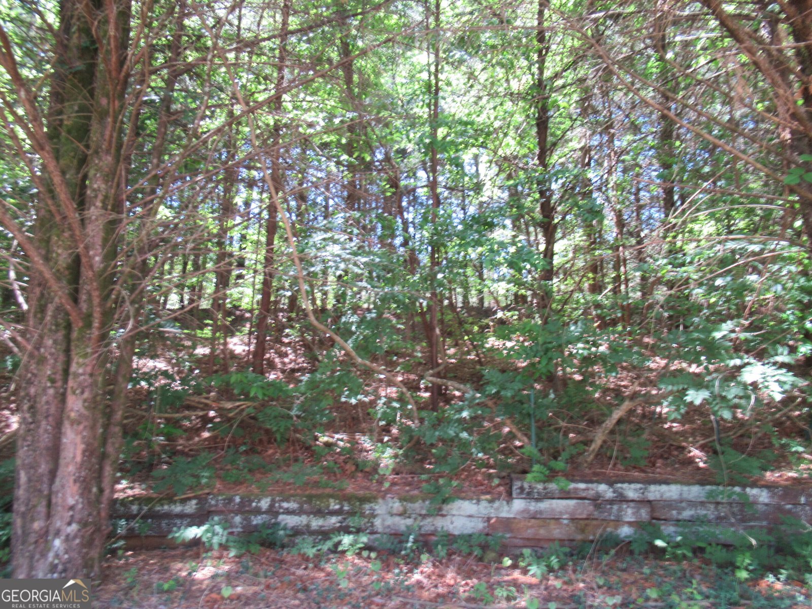620 Mount Pleasant Church Road Cleveland - Photo 11