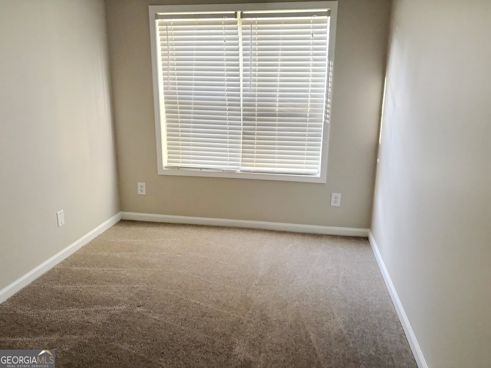 12242 Molly Sue Lane Fayetteville - Photo 20