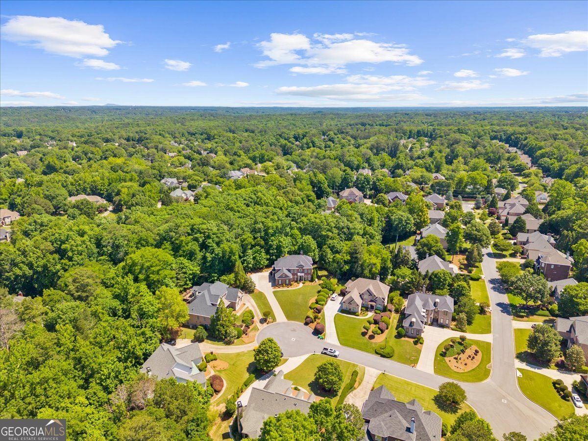 6315 Neely Meadows Drive Peachtree Corners - Photo 103