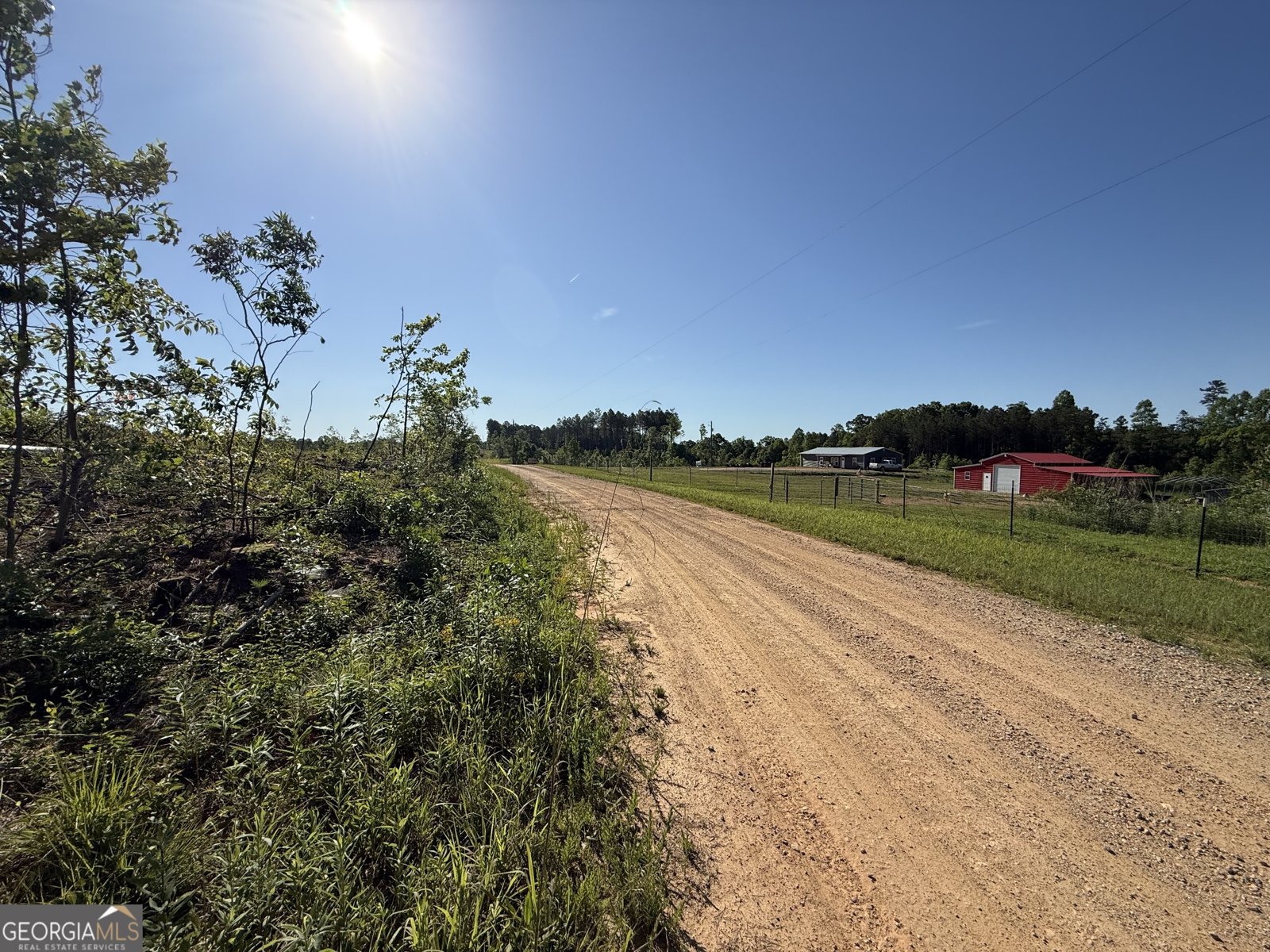 1185 County Road 402 Fruithurst - Photo 10
