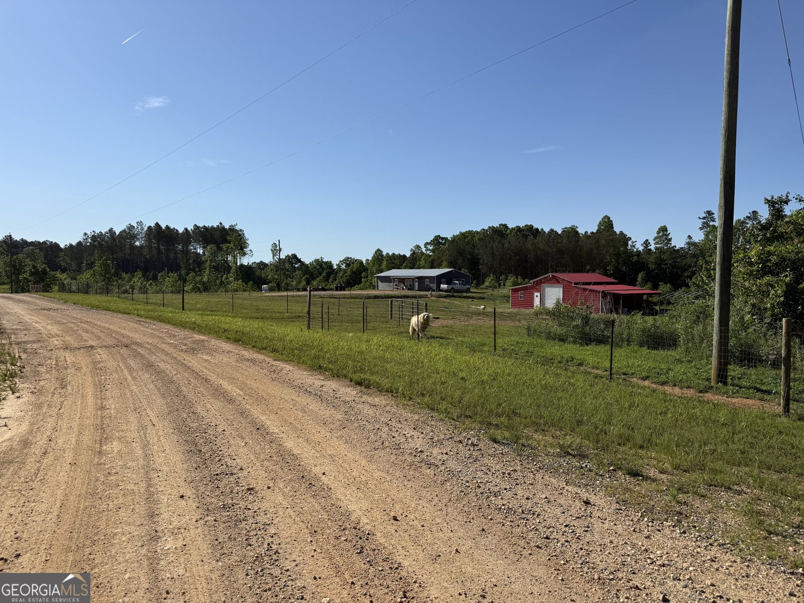 1185 County Road 402 Fruithurst - Photo 11