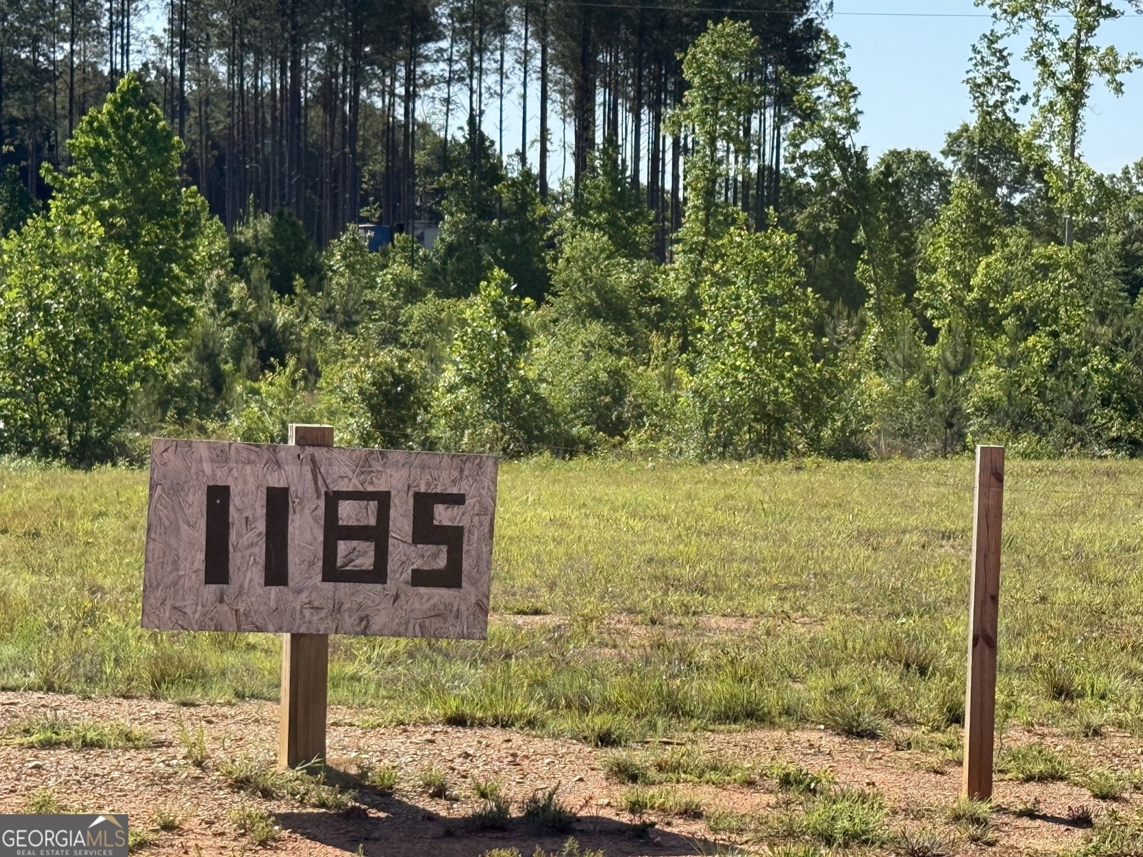 1185 County Road 402 Fruithurst - Photo 12