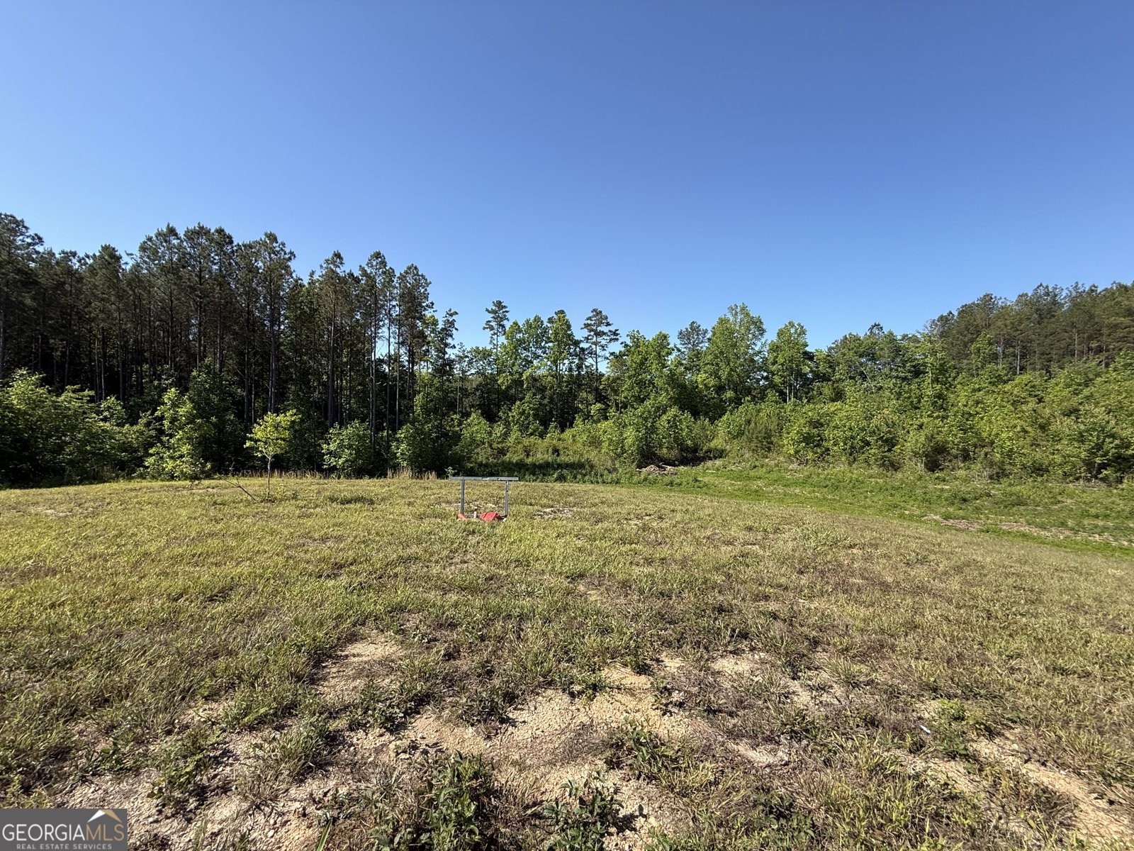 1185 County Road 402 Fruithurst - Photo 39