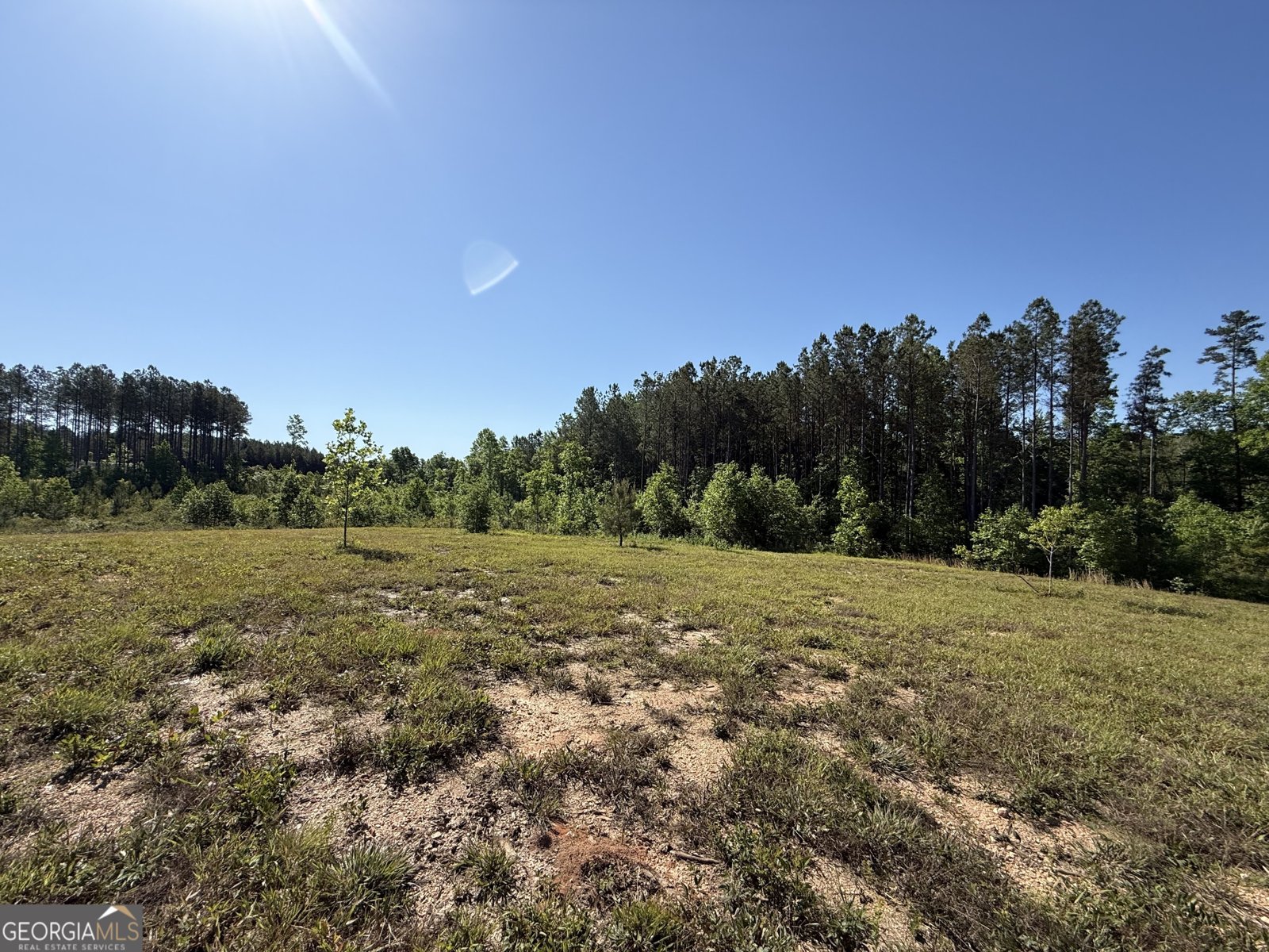 1185 County Road 402 Fruithurst - Photo 40