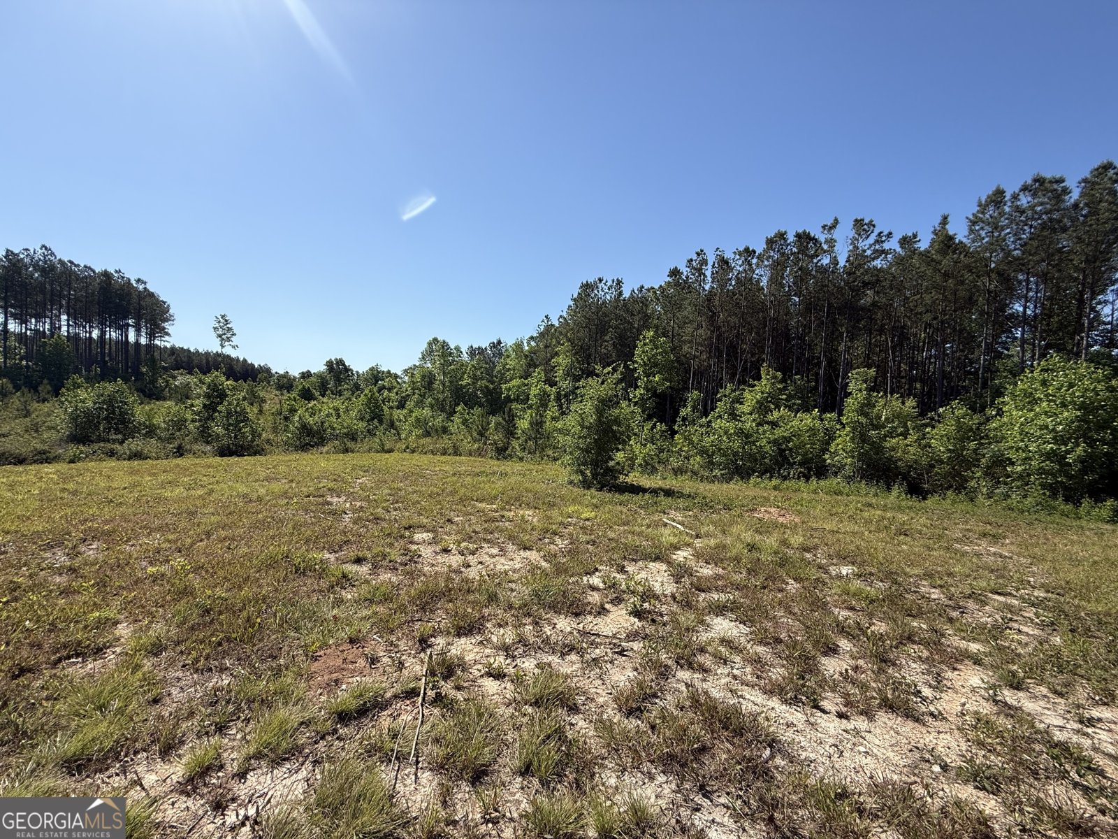 1185 County Road 402 Fruithurst - Photo 41