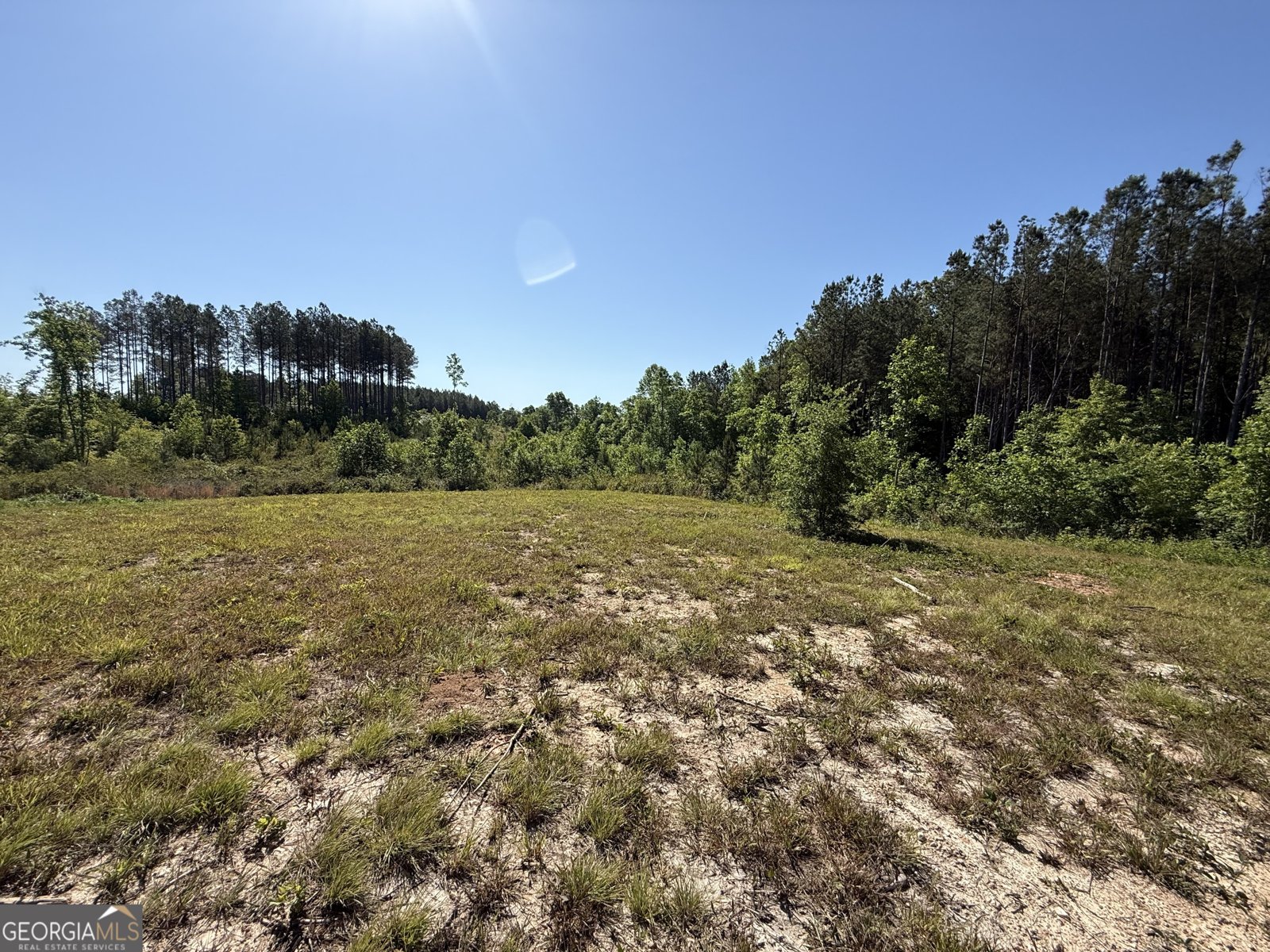 1185 County Road 402 Fruithurst - Photo 42