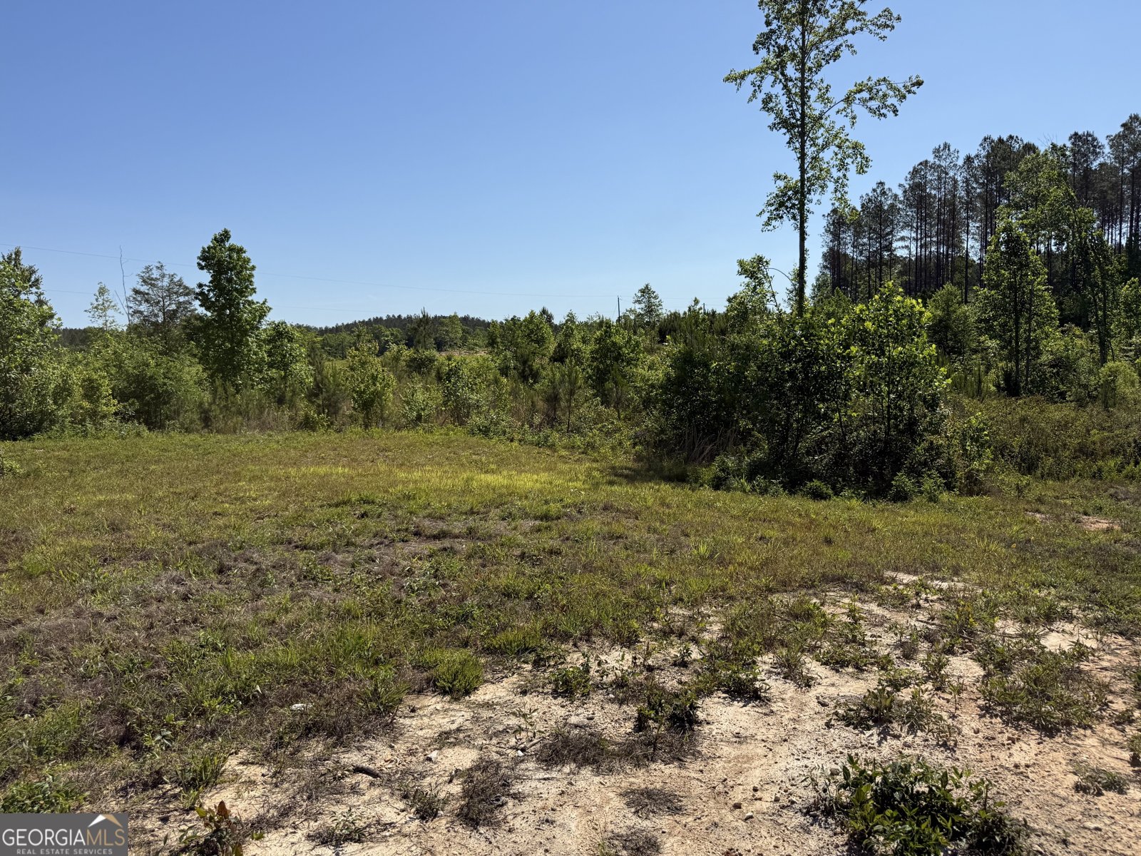 1185 County Road 402 Fruithurst - Photo 43