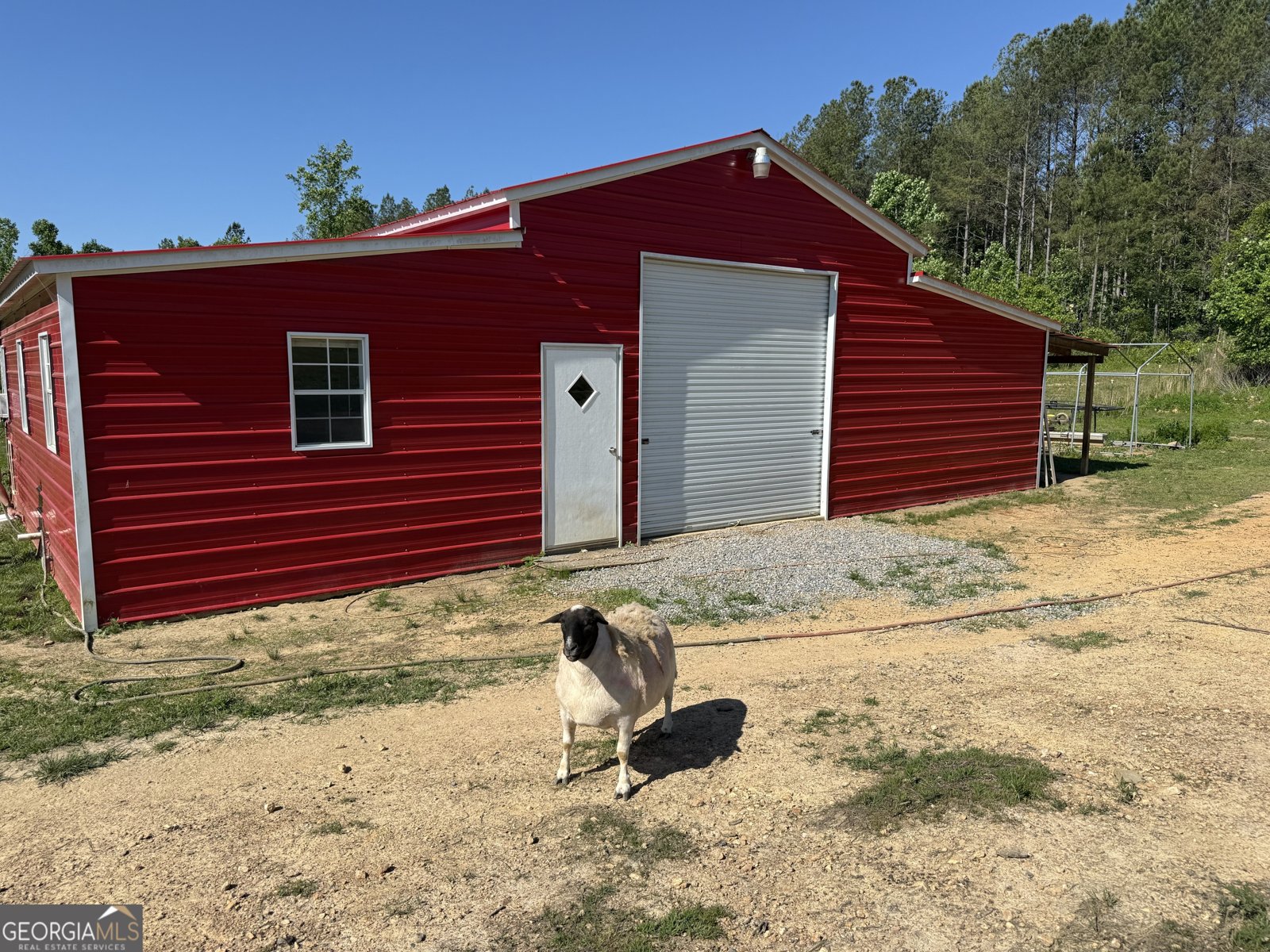 1185 County Road 402 Fruithurst - Photo 44