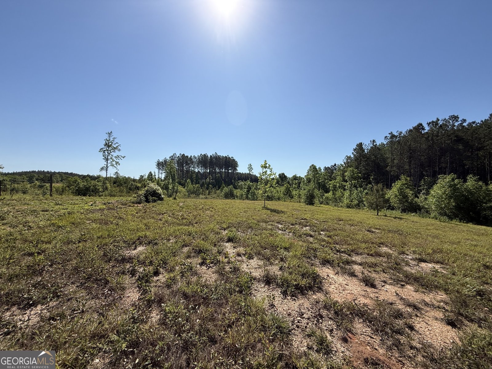 1185 County Road 402 Fruithurst - Photo 54