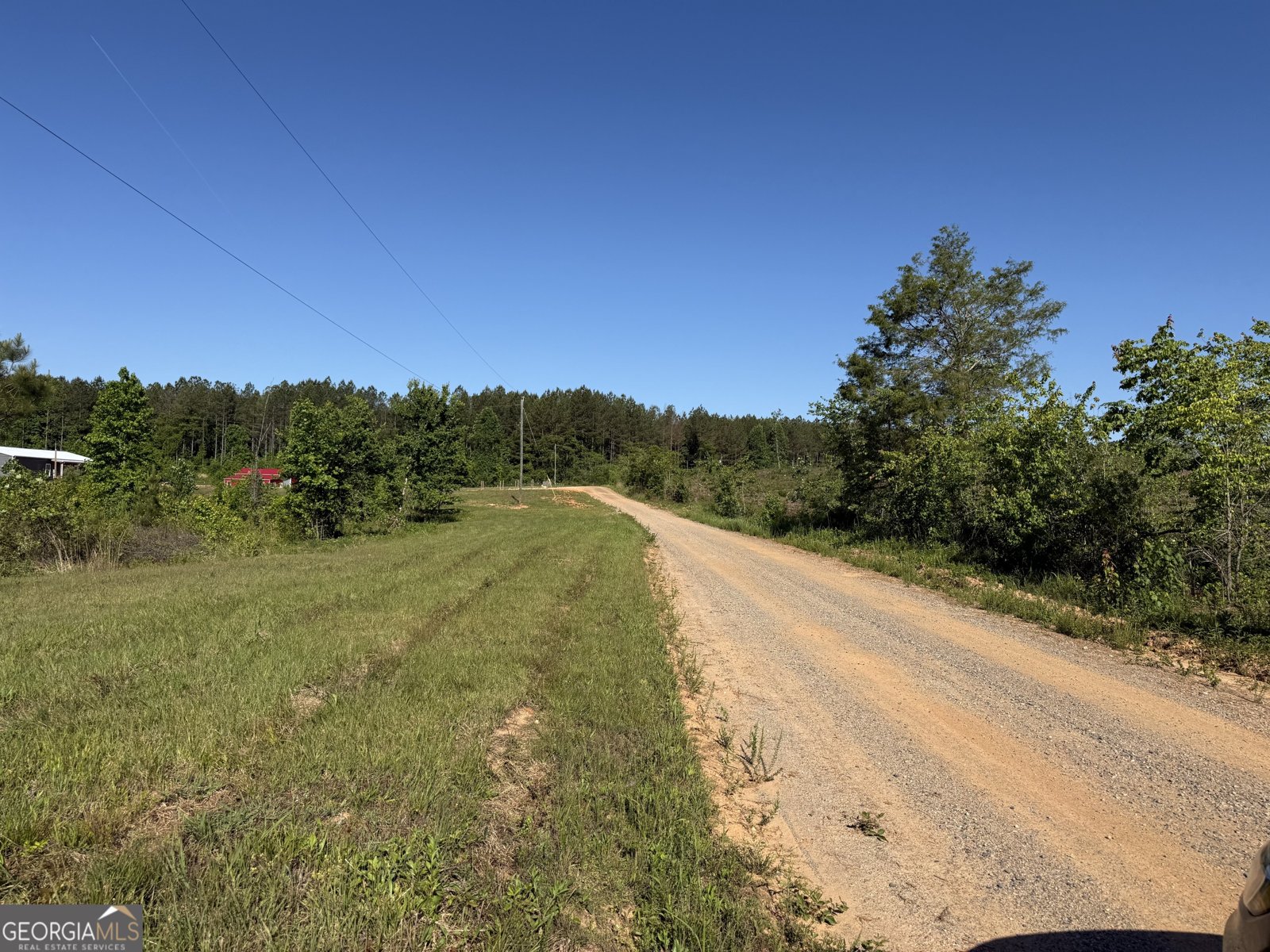 1185 County Road 402 Fruithurst - Photo 7