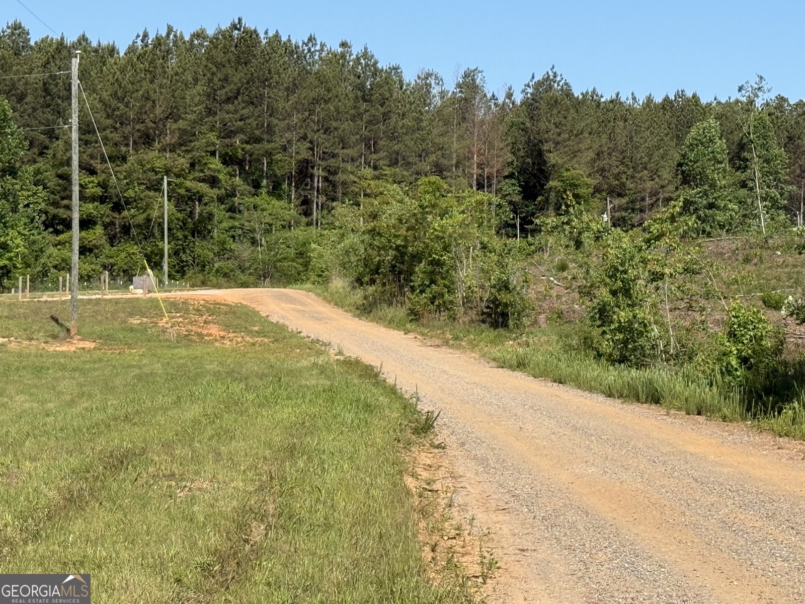 1185 County Road 402 Fruithurst - Photo 8