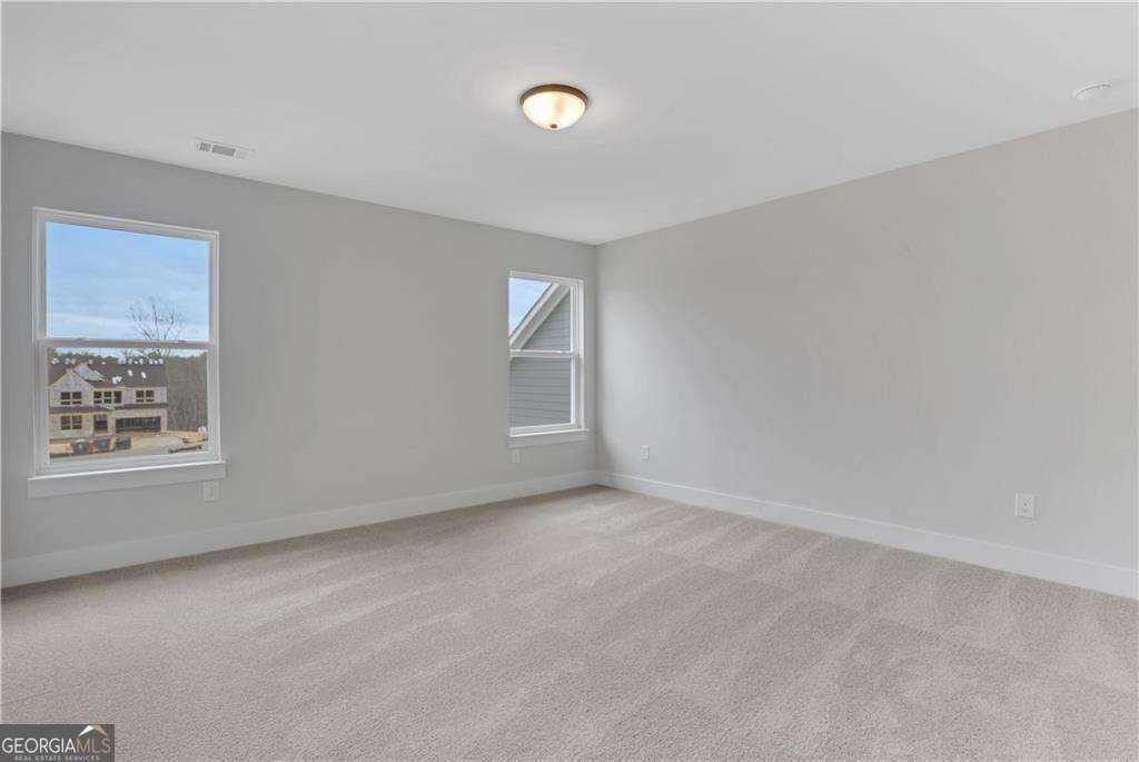 178 Coffee Lane Hoschton - Photo 29