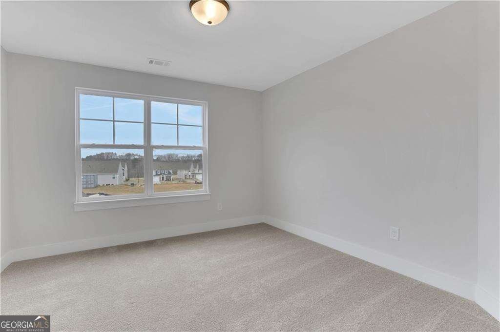178 Coffee Lane Hoschton - Photo 32