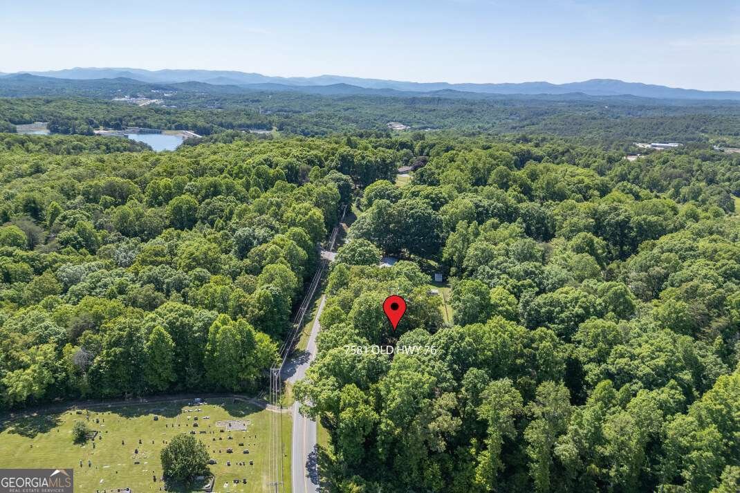 7581 Old Hwy 76 Morganton - Photo 62