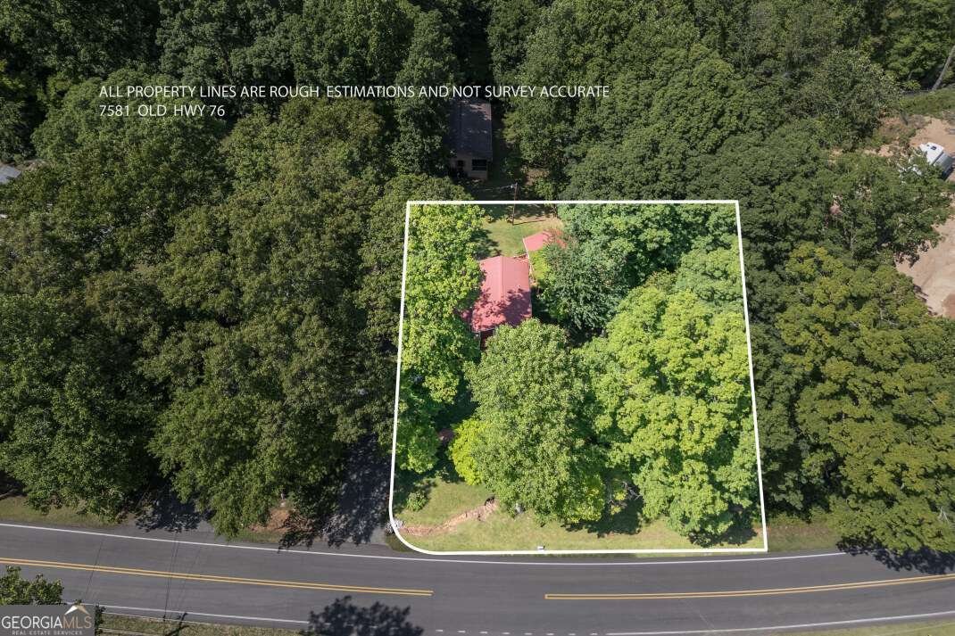 7581 Old Hwy 76 Morganton - Photo 64