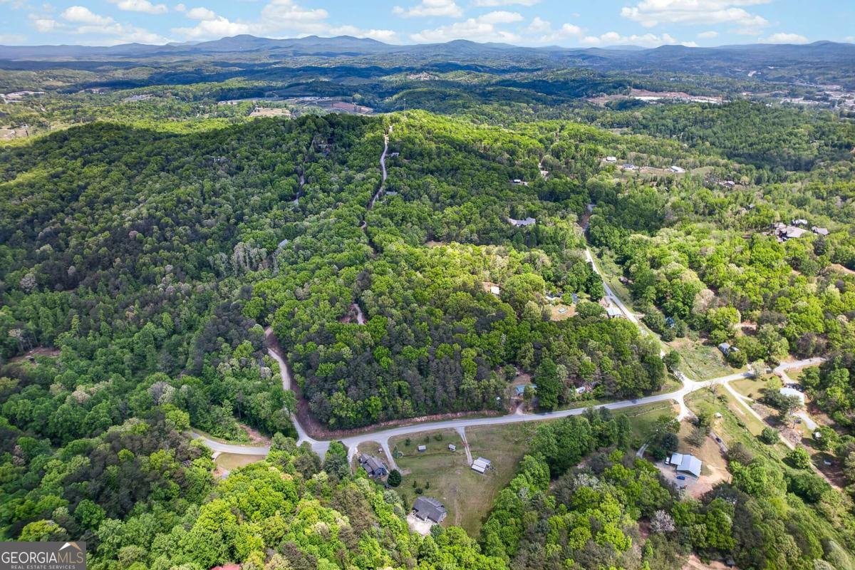 353 Sunrise Road Blue Ridge - Photo 96