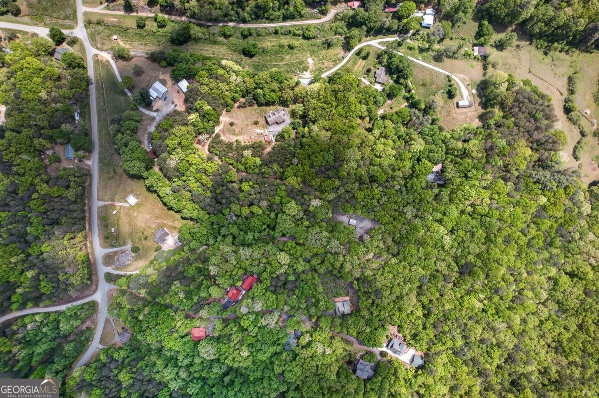 353 Sunrise Road Blue Ridge - Photo 98