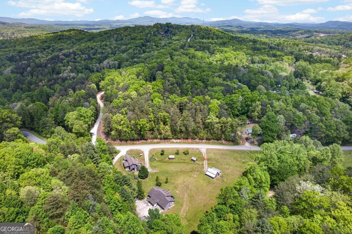 353 Sunrise Road Blue Ridge - Photo 99