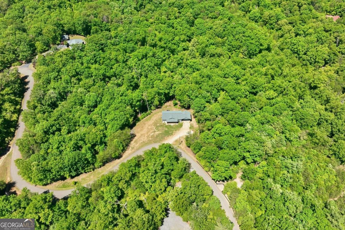 603 Gold Flume Way Cleveland - Photo 44