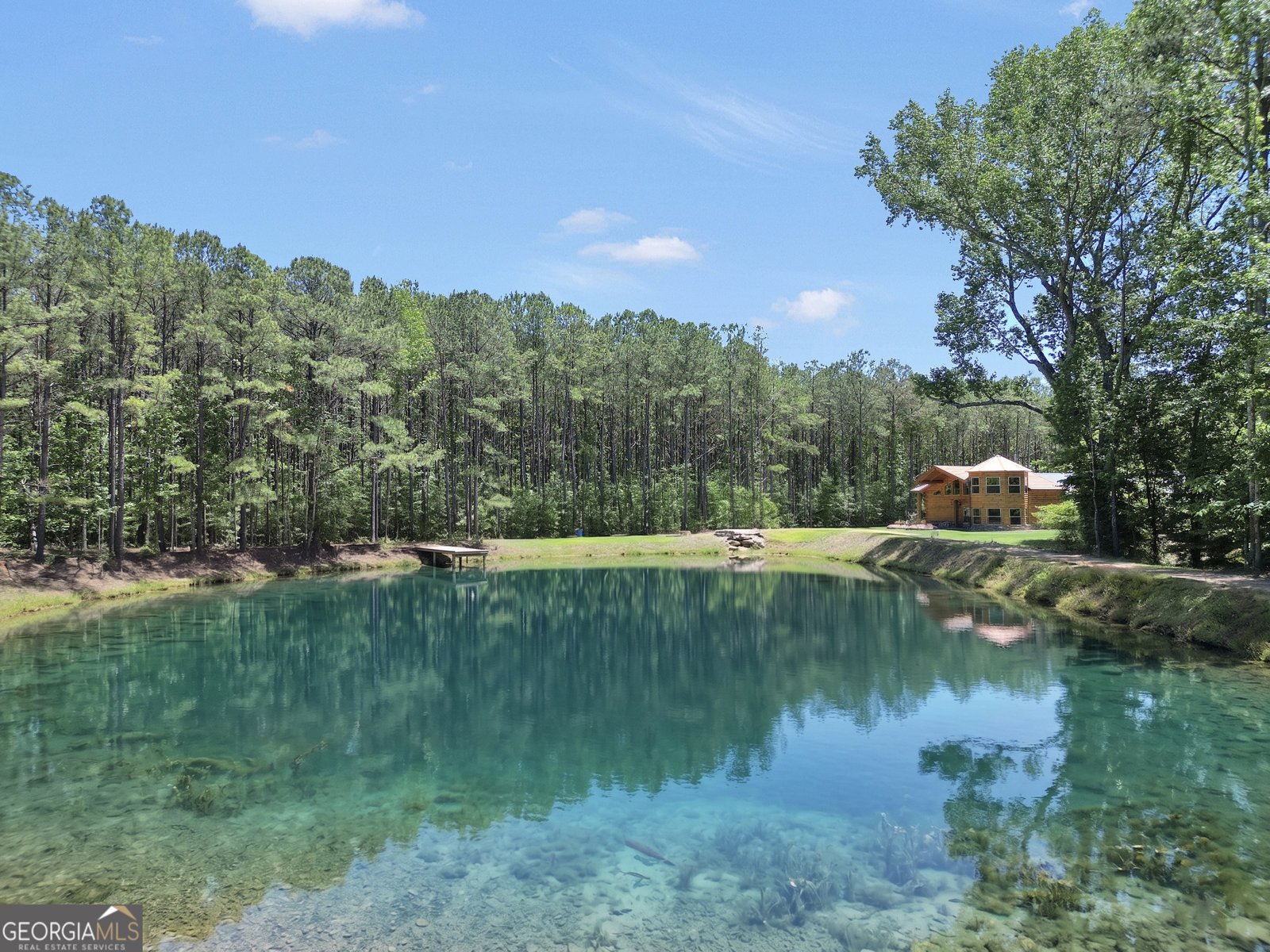 2714 Weems Road Molena - Photo 64