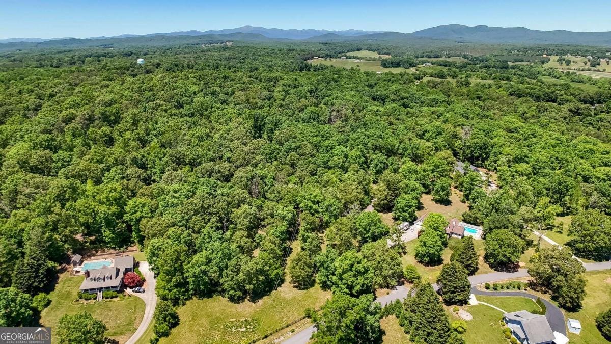 1011 Old Hardman Bottoms Road Clarkesville - Photo 54