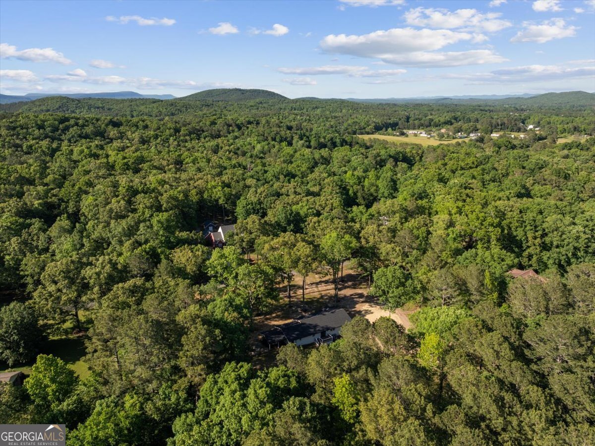 333 Racehorse Drive Summerville - Photo 37