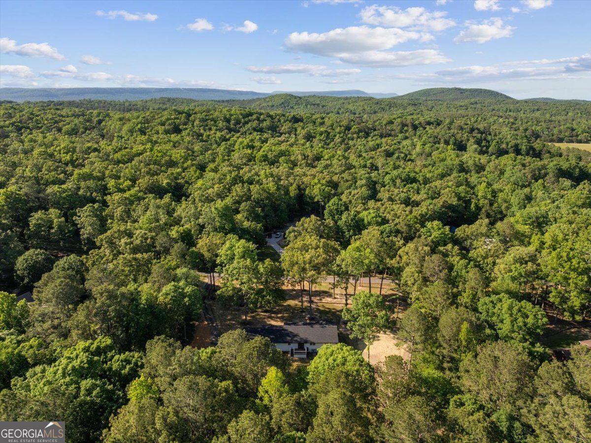 333 Racehorse Drive Summerville - Photo 38